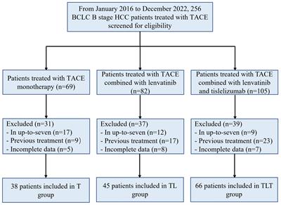 TACE plus lenvatinib and tislelizumab for intermediate-stage hepatocellular carcinoma beyond up-to-11 criteria: a multicenter cohort study